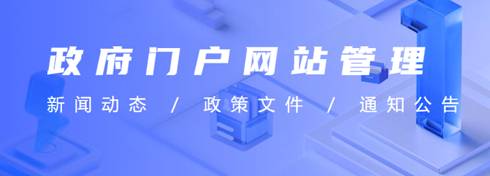 政府门户网站